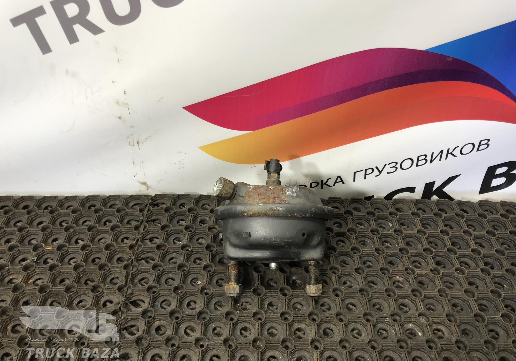 0054207824 Камера тормозная передняя для Mercedes-Benz Actros