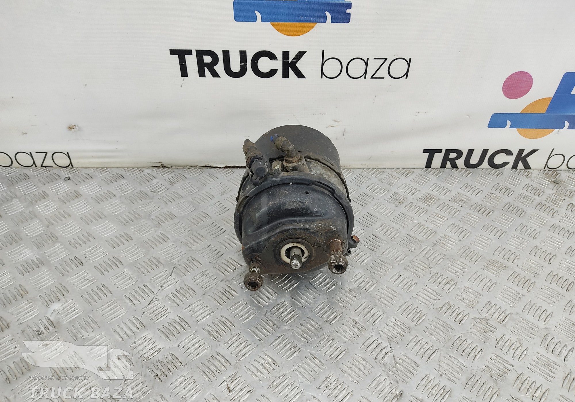 A0244200918 Энергоаккумулятор задний для КАМАЗ 5490 (с 2013)