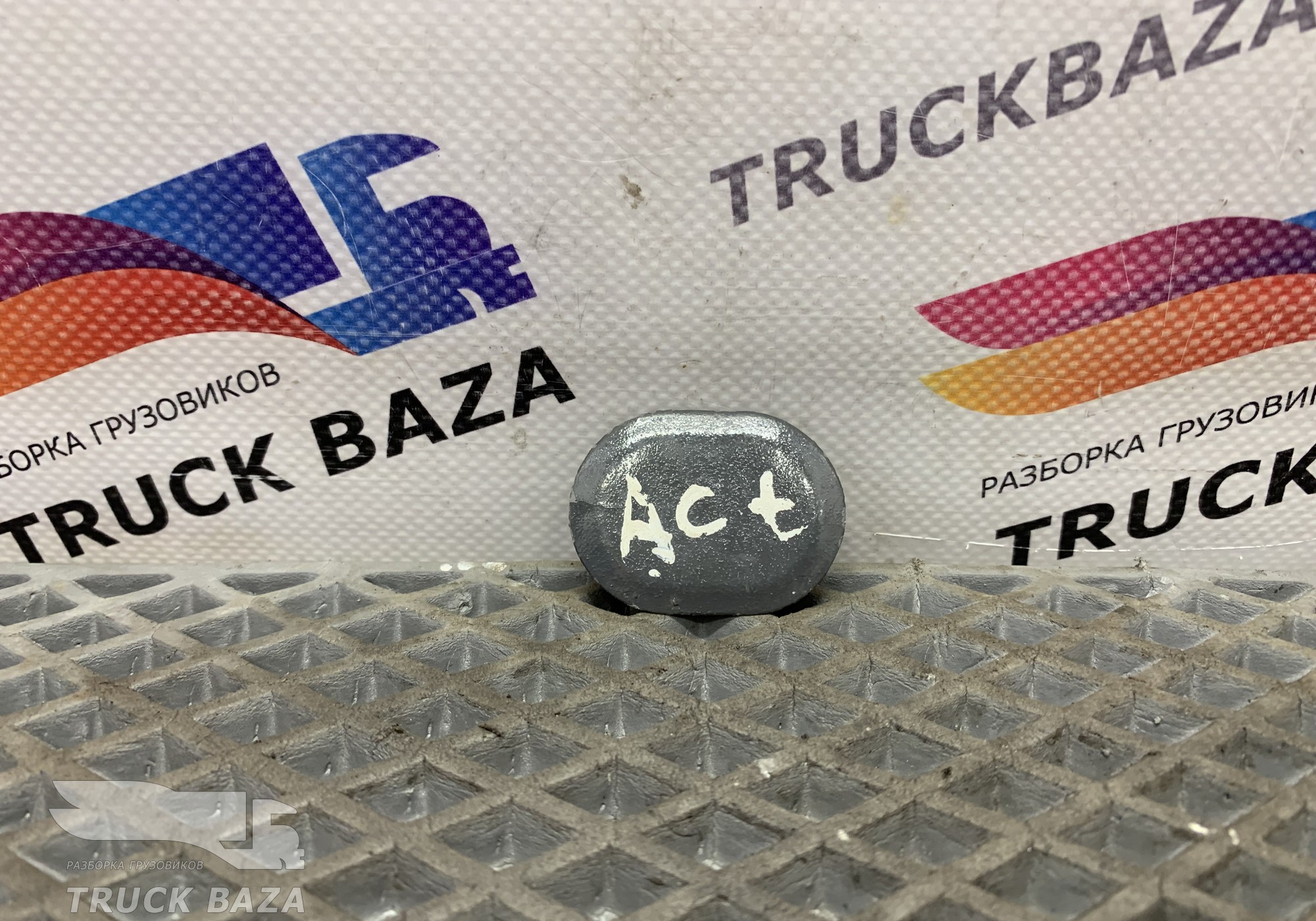 9419970086 Заглушка корпуса подножки для Mercedes-Benz Actros MP1 (с 1996 по 2003)