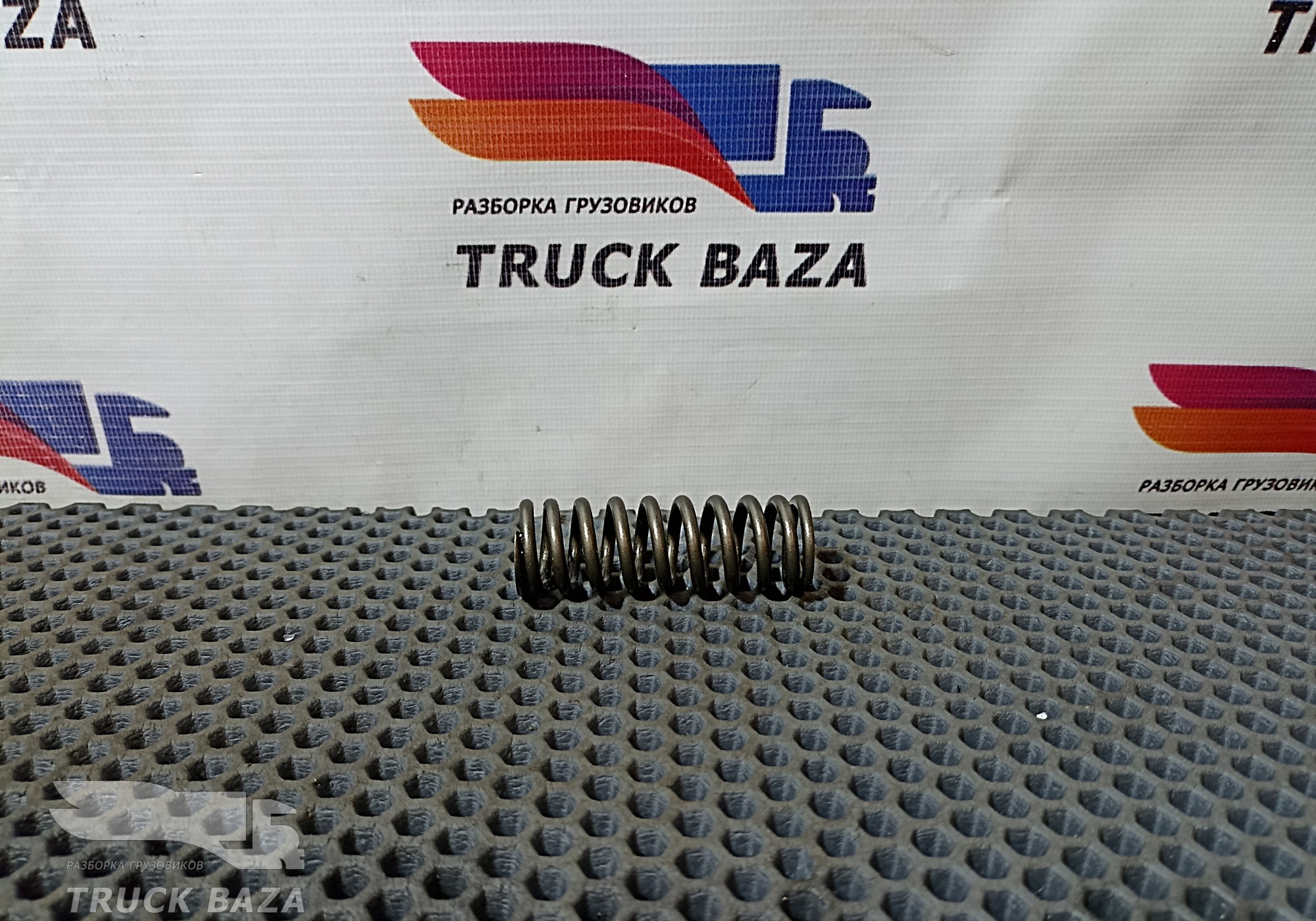 3183211 Пружина клапана внутренняя для Renault