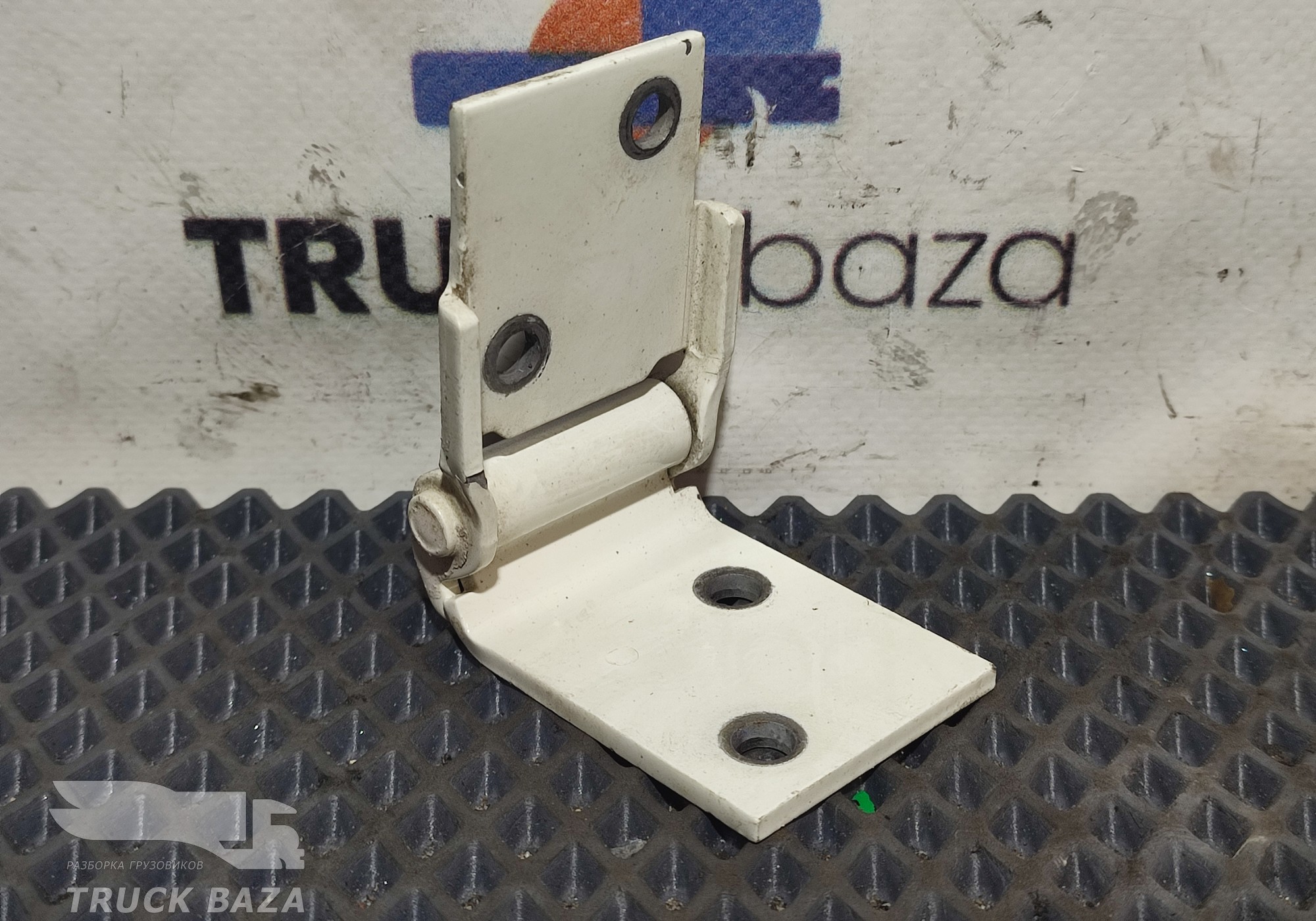 0673439 Петля инструментального ящика для Daf XF105 (с 2005)