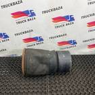 1794420 Подушка пневмоподвески задняя для Daf XF105 (с 2005)