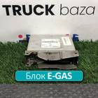 1366016 Блок управления E-GAS для Daf XF95 (с 2002 по 2006)