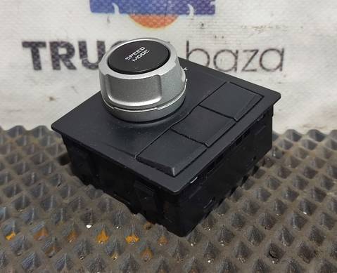 21995066 Панель управления круиз контроль для Renault T (с 2013)