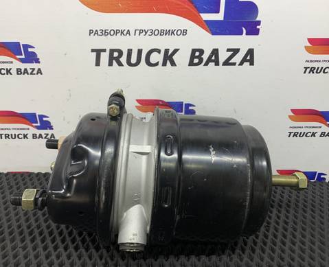02062424151 Энергоаккумулятор тормозной для Daf CF