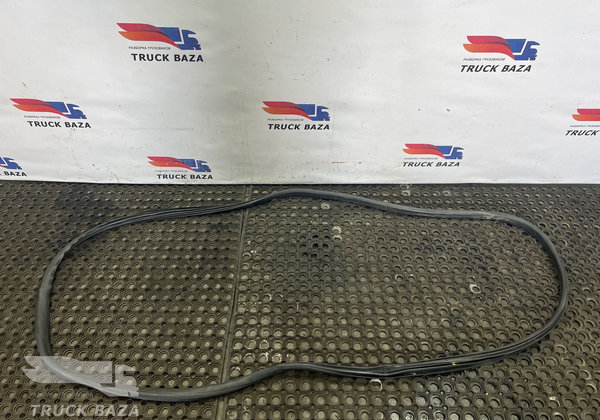 7484506666 Уплотнитель двери для Renault T (с 2013)