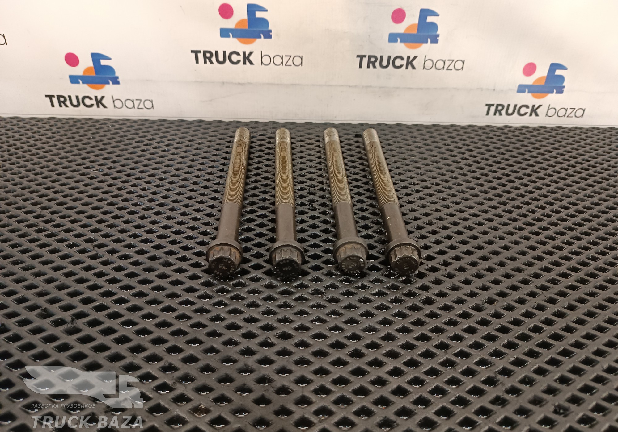 A5419900501 Комплект болтов ГБЦ OM501 для Mercedes-Benz Actros New Actros MP4 (с 2011)