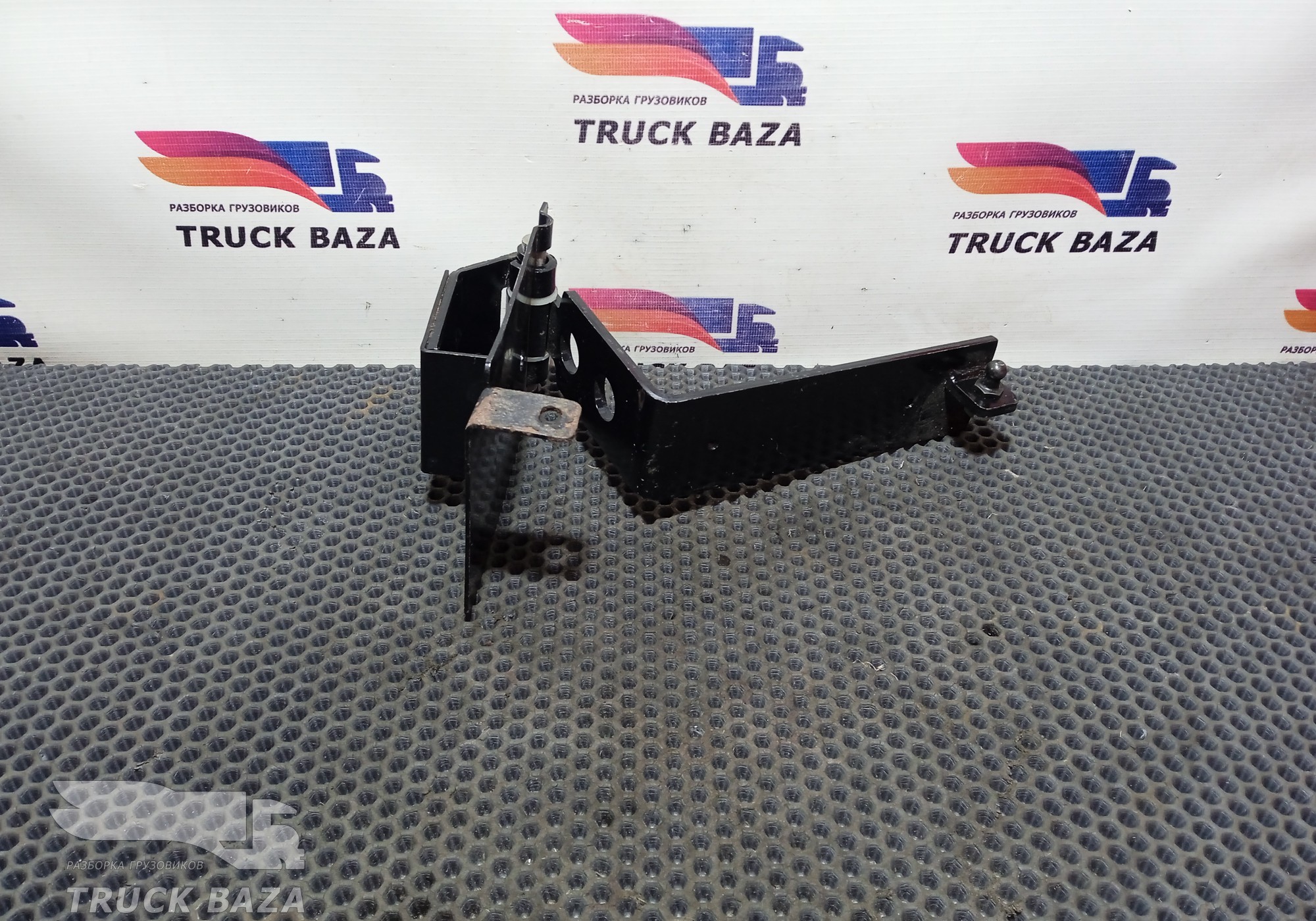 1659838 Петля спальника правая для Daf