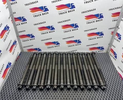 51900200421 Болт ГБЦ комплект для Man TGX II (с 2012)