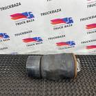 1794420 Подушка пневмоподвески задняя для Daf XF105 (с 2005)