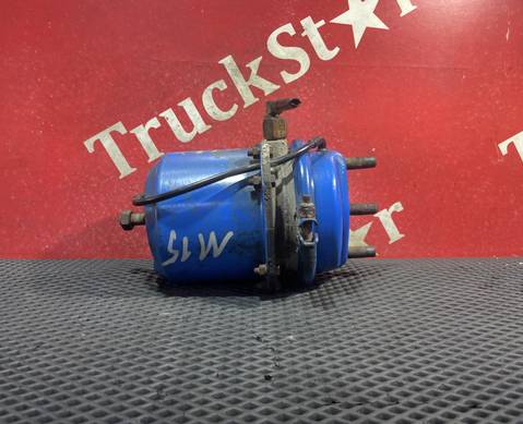 81504116015 Энергоаккумулятор тормозной для Man TGX TG3 (с 2020)