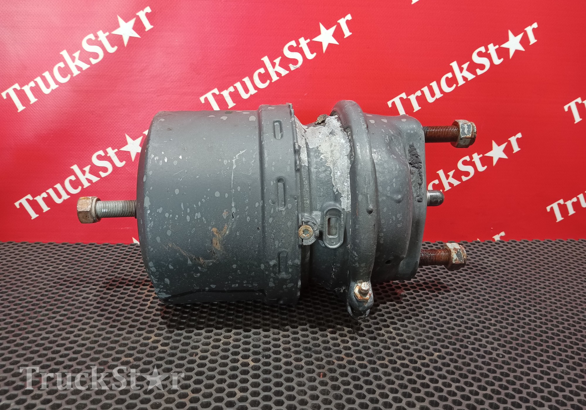 7421283615 Энергоаккумулятор задний для Renault Magnum