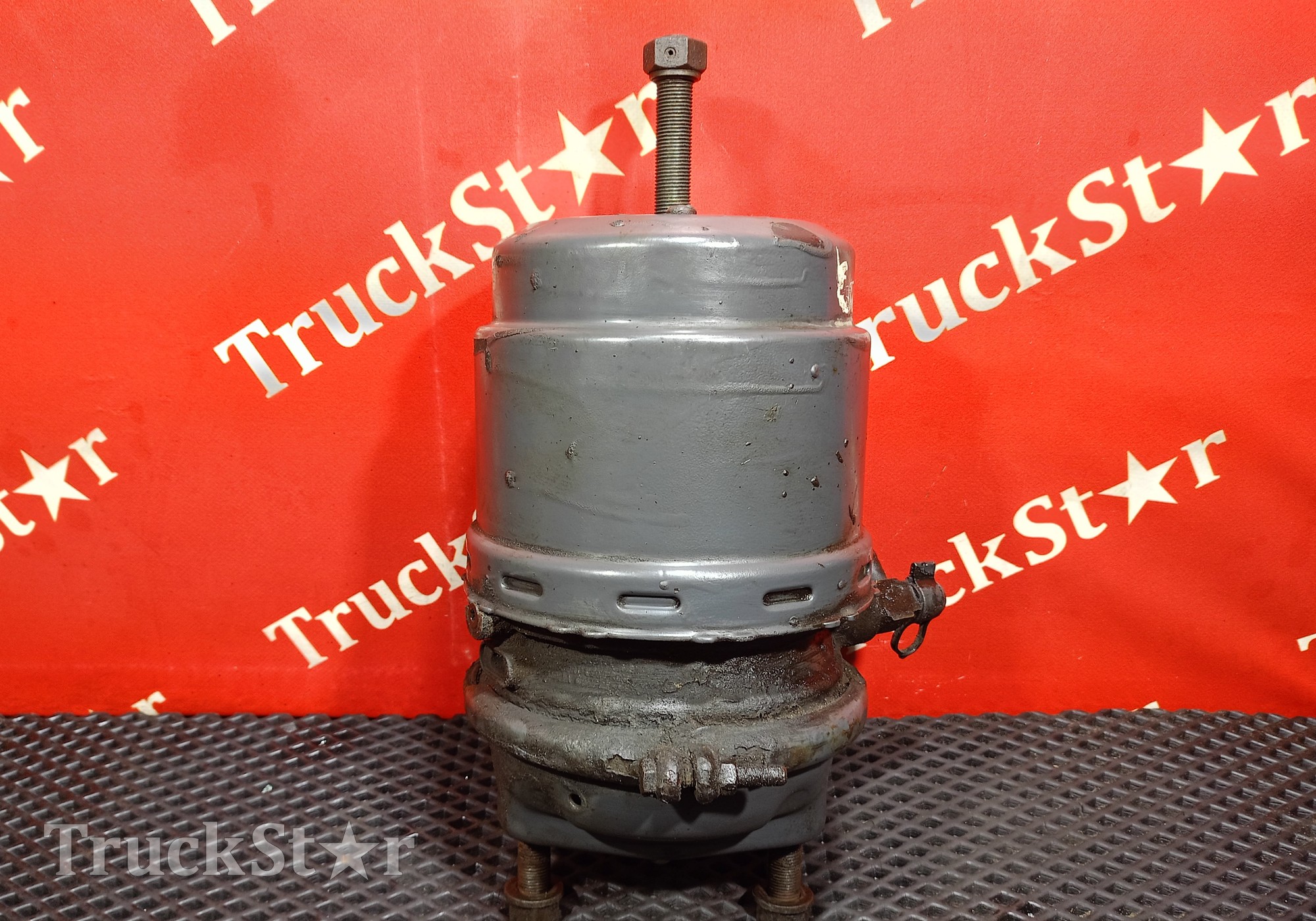 1686001 Энергоаккумулятор задний для Daf CF I (с 2000 по 2006)