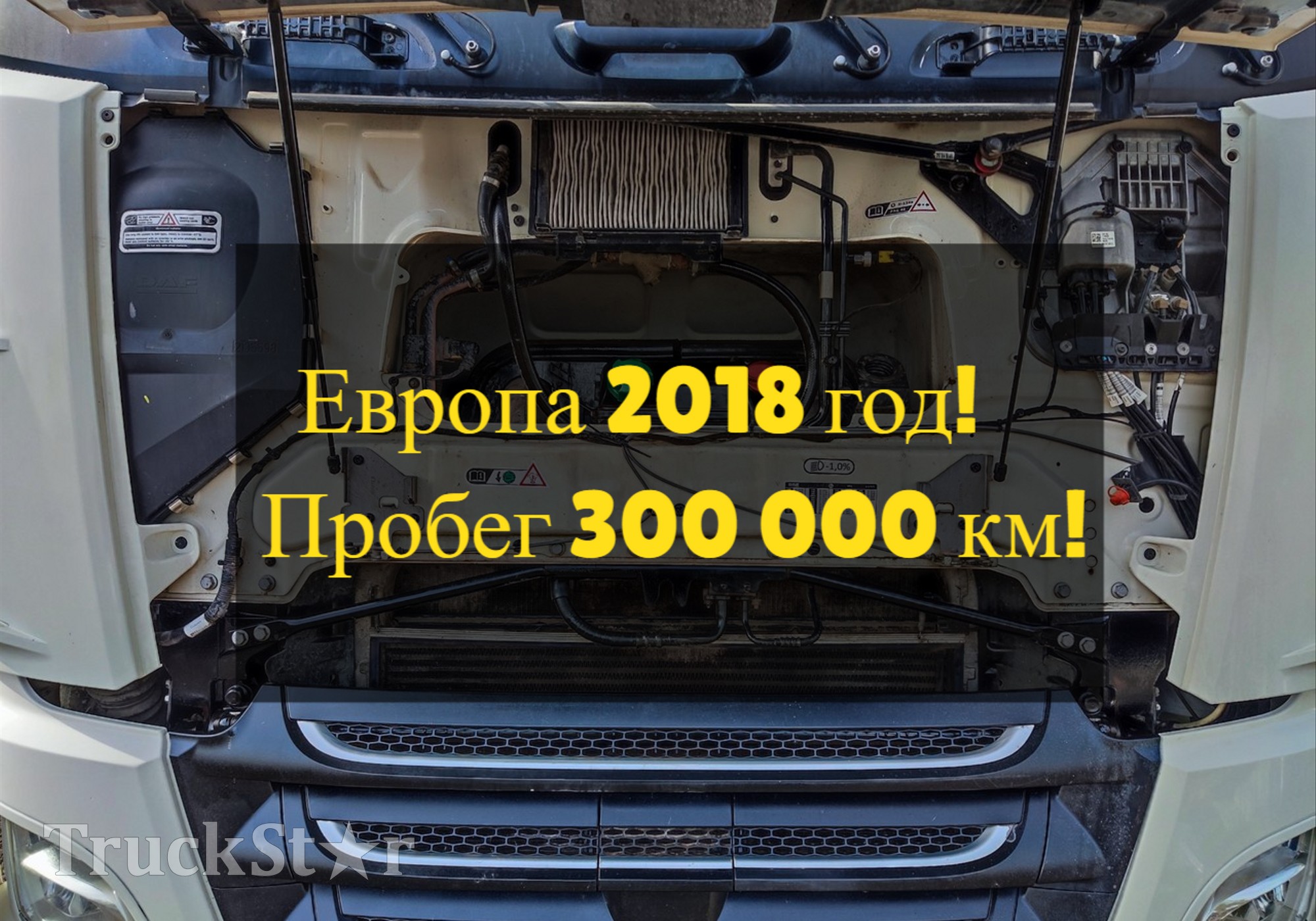 2125896 Кассета радиаторов 2018г. для Daf XF106 (с 2012)