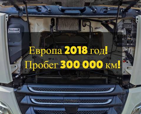 2125896 Кассета радиаторов 2018г. для Daf XF106 (с 2012)