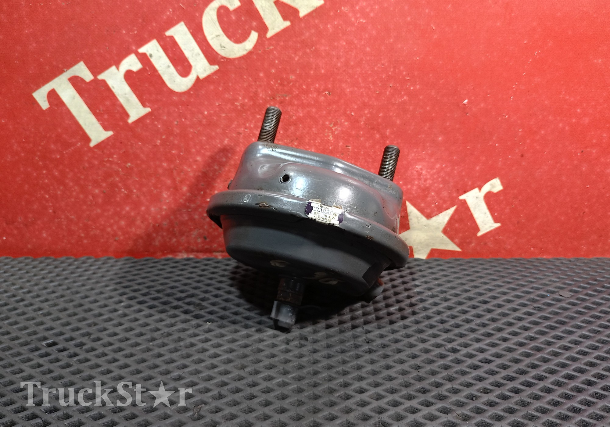 1791409 Камера тормозная передняя для Daf CF I (с 2000 по 2006)