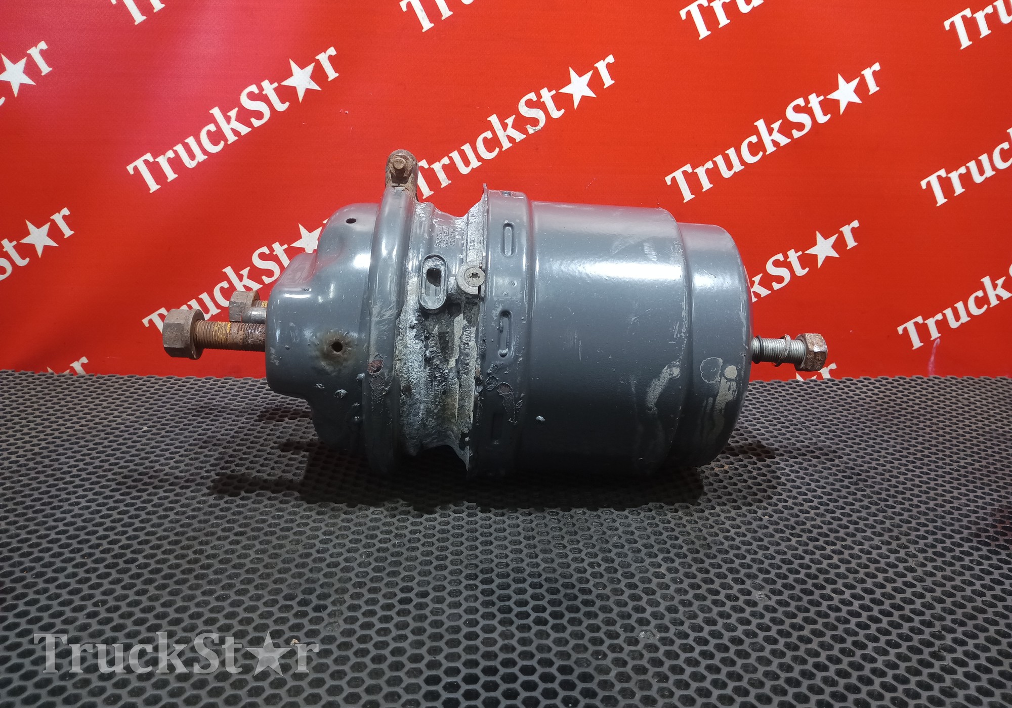 1686001 Энергоаккумулятор задний