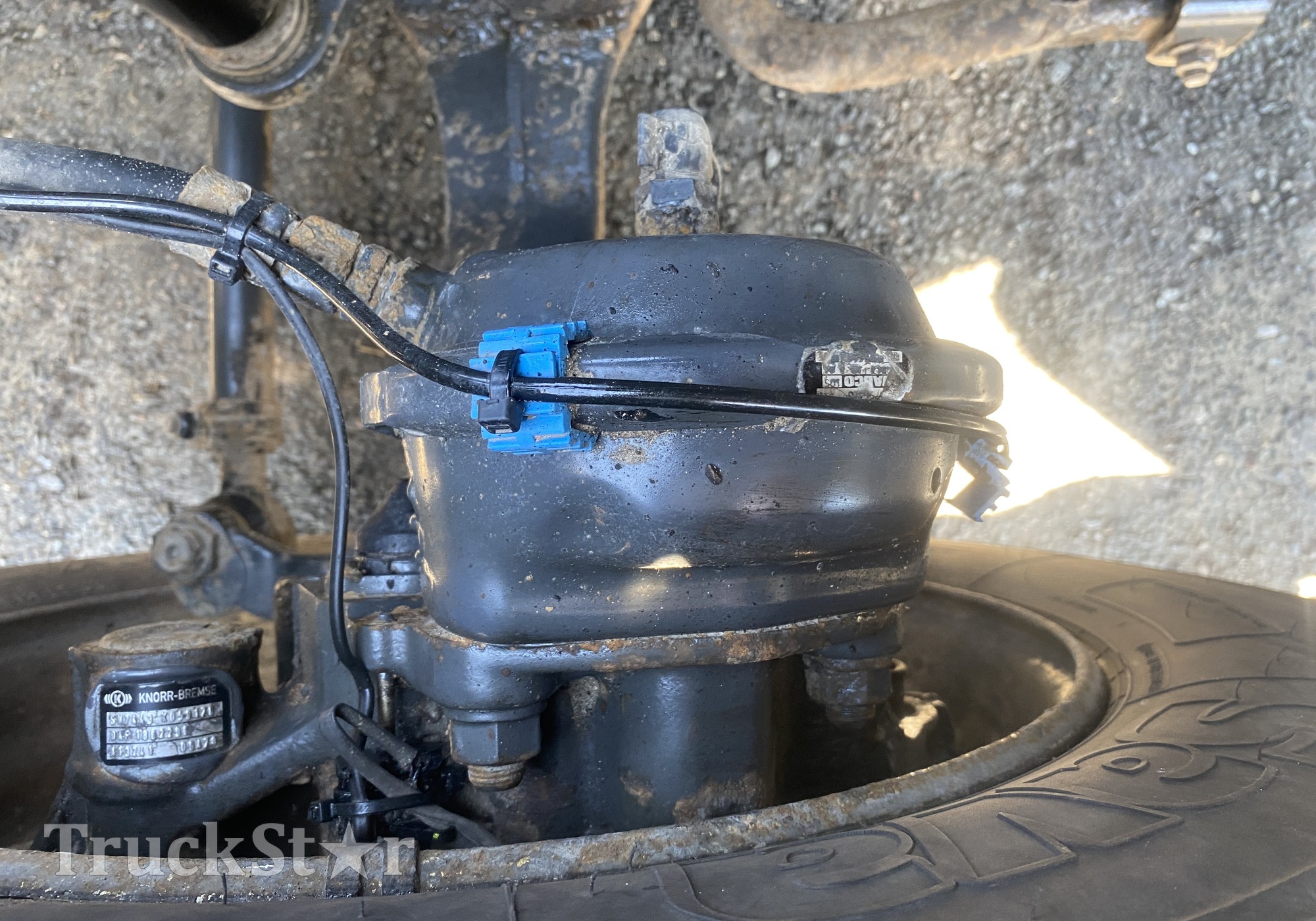 1791409 Камера тормозная передняя для Daf CF I (с 2000 по 2006)