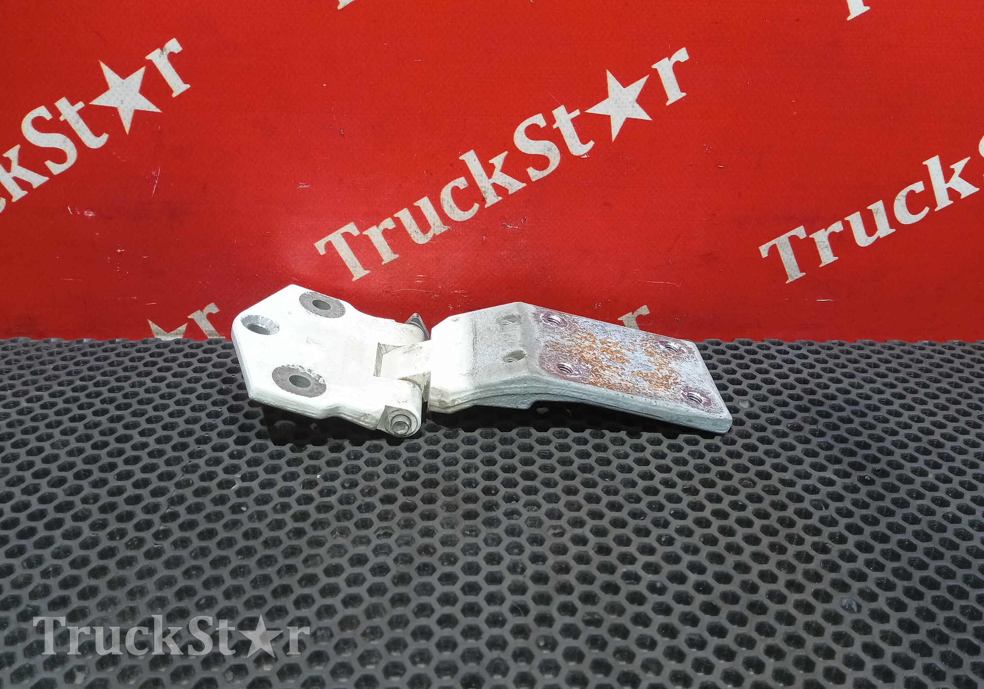 1881893 Петля двери 2019г для Daf XF106