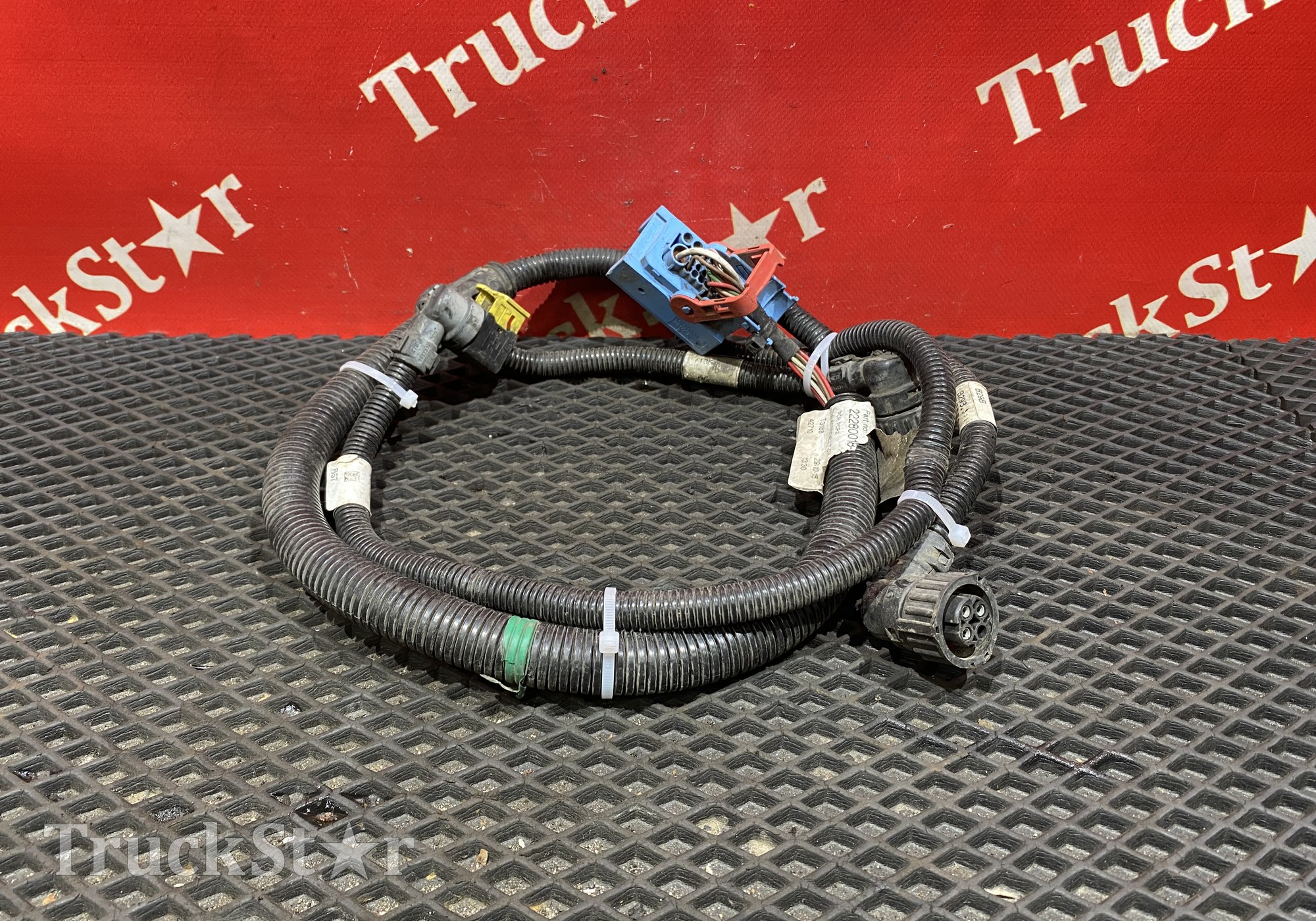 22280018 Проводка блока ECS 2016г для Renault T (с 2013)