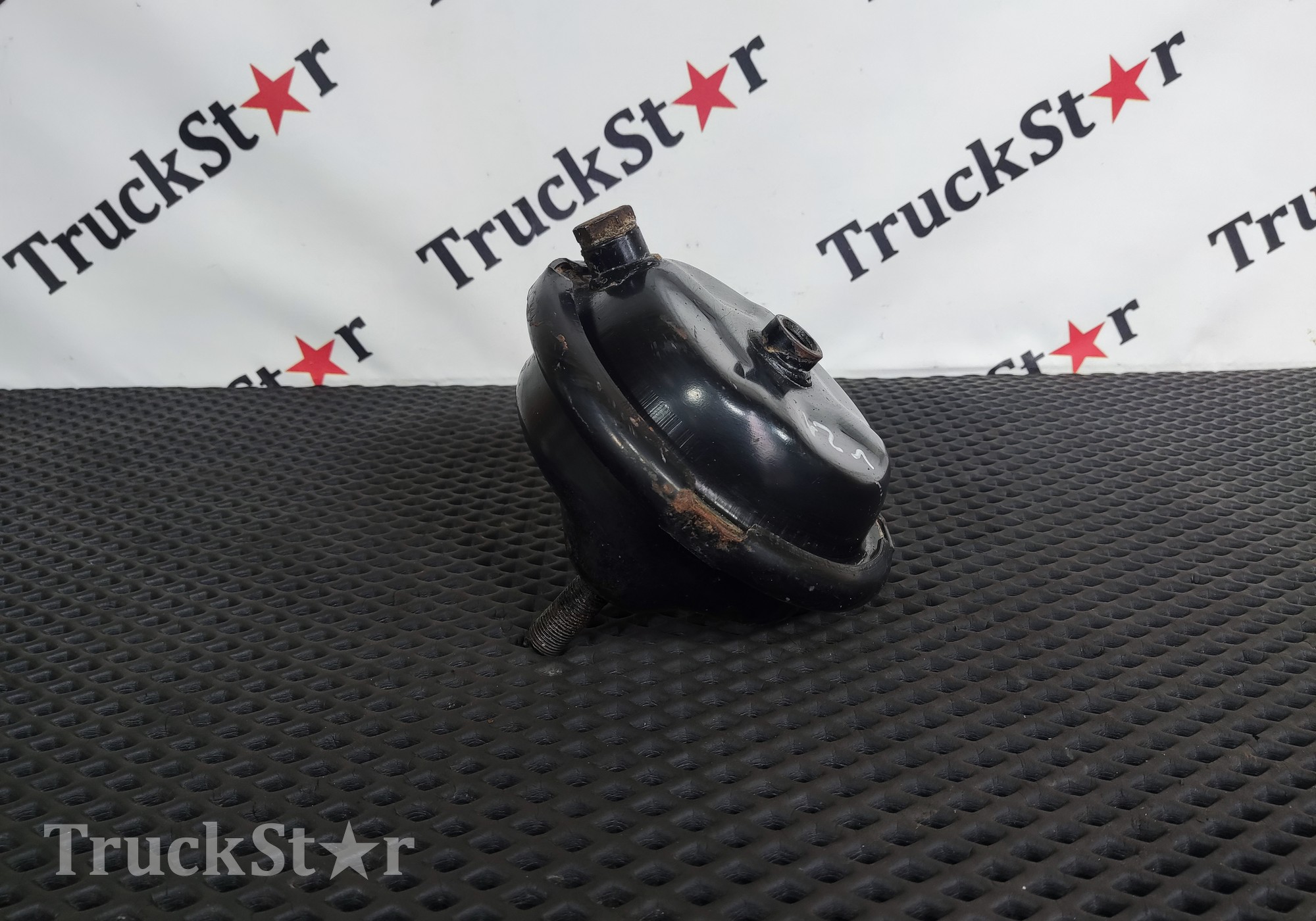 20410138 Камера тормозная 2017г. для Renault Magnum IV DXi (с 2005 по 2013)