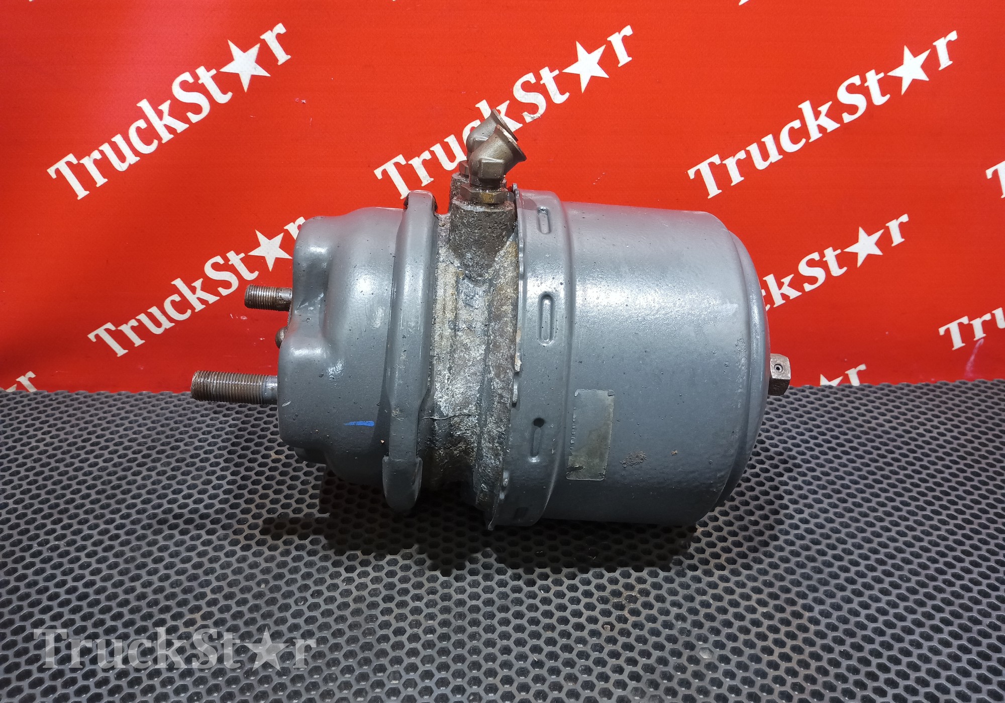 7421283615 Энергоаккумулятор задний 2016г для Renault Magnum