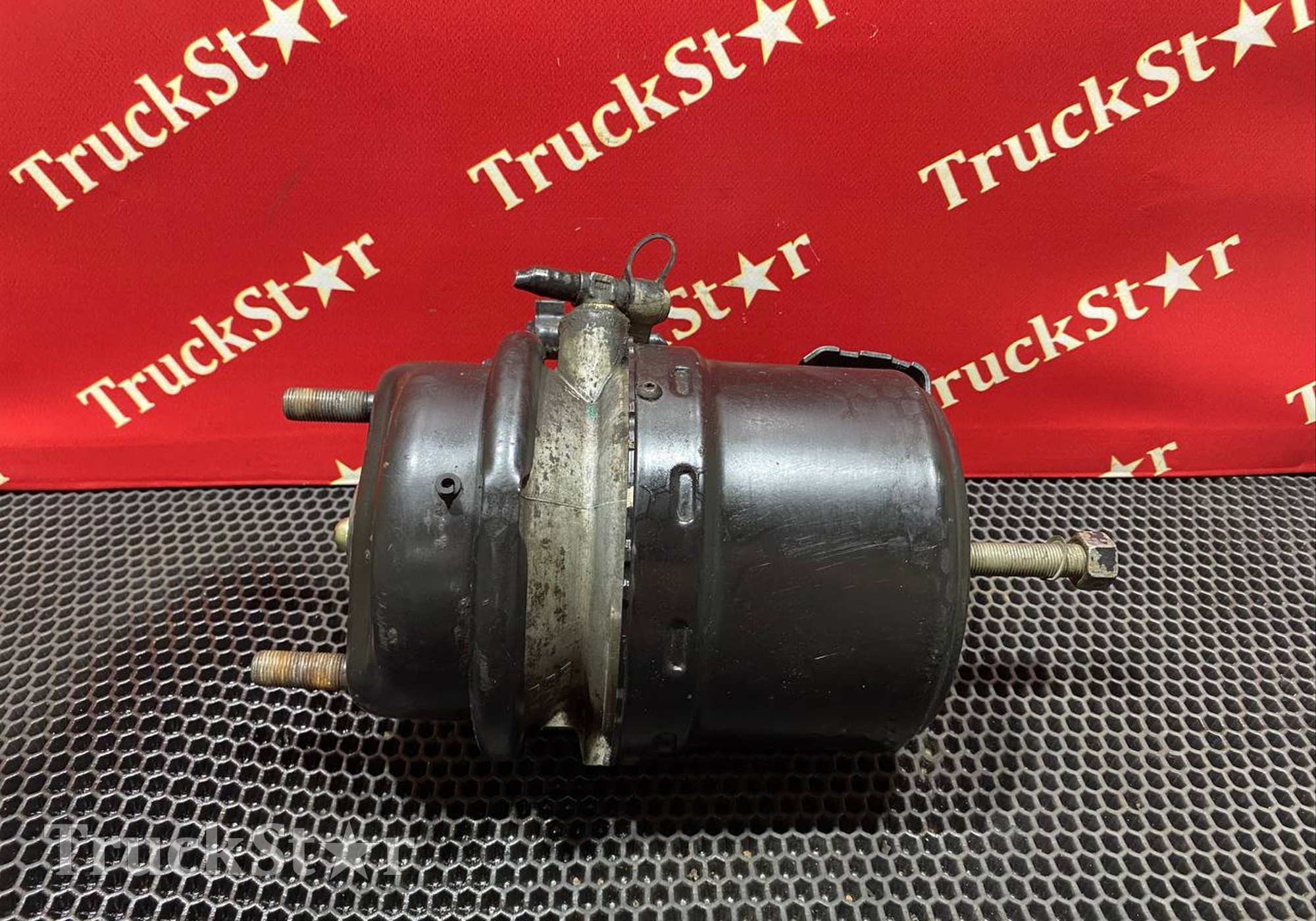 QT485DN3993530020 Энергоаккумулятор тормозной 2023г для Foton Auman EST