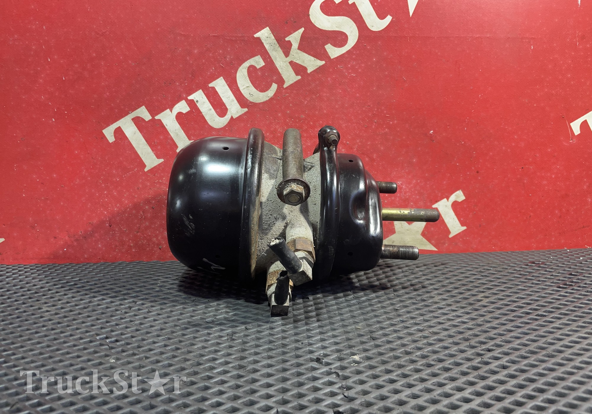 81504116015 Энергоаккумулятор тормозной 2020 г. для Man TGX TG3 (с 2020)