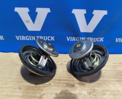 51064026006 Термостат двигателя D2676 2018 г. для Man TGX II (с 2012)