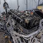 7421754367 Головка блока цилиндров DTI13 2017г. для Renault T (с 2013)