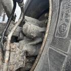 81508046636 Суппорт передний правый для Man TGX