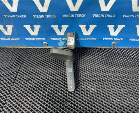 81255090125 Переключатель подрулевой ретардера для Man TGA (с 2000 по 2007)