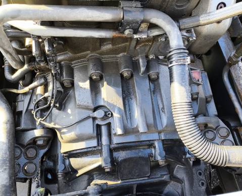 1695375 Кожух маховика для Daf XF105 (с 2005)