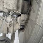 1862301 Суппорт задний правый 2017г для КАМАЗ