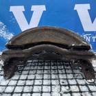 2264183 Суппорт тормозной левый для Daf CF II (с 2006 по 2013)