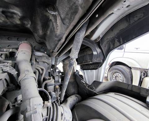 2447233 Цилиндр подъема кабины 2023г. для Daf XG+